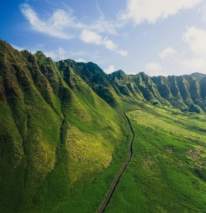 Enhance Hawaicabbi