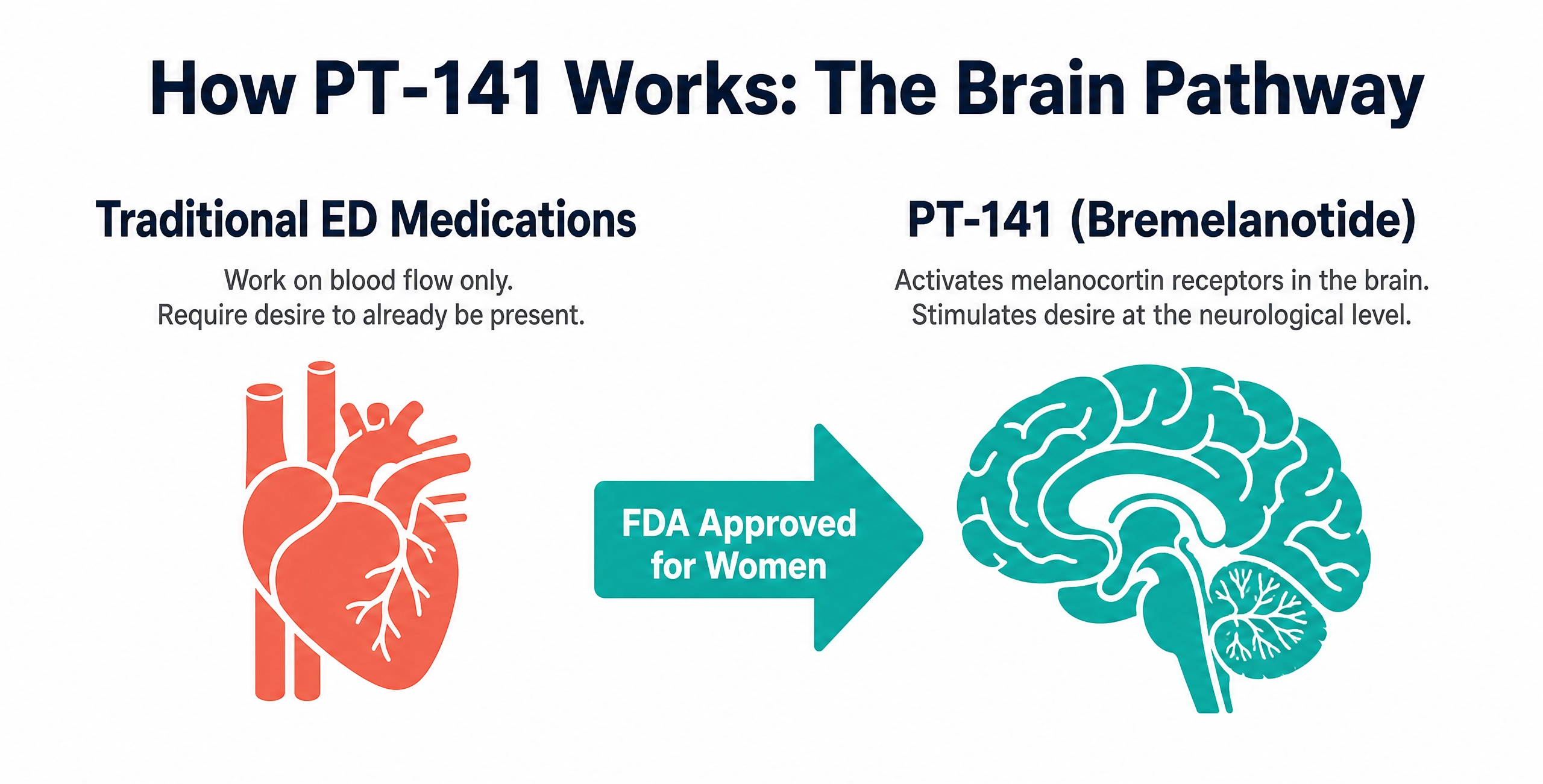meno_diag_3_pt141_brain