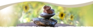 Nm Spirit Of Wellness