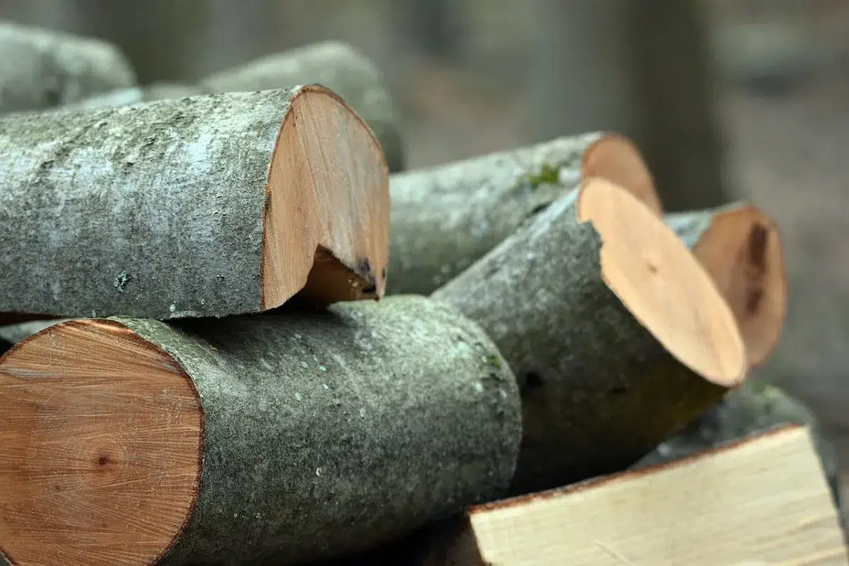 Pentosan Wood from the beech tree where pentosan polysulfate comes from.