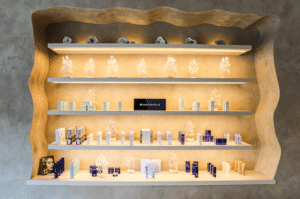 Reve Wellness